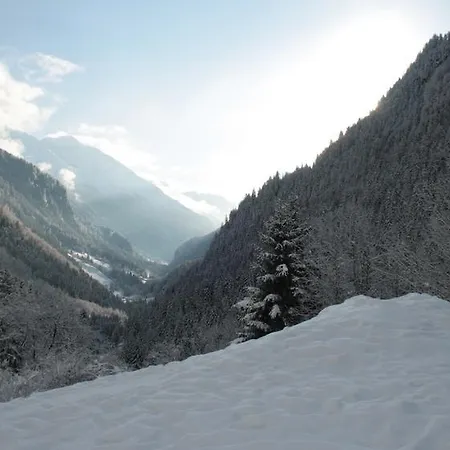 Haus Schoen - Preise Inclusive Pitztal Sommer Card 3* 耶岑斯