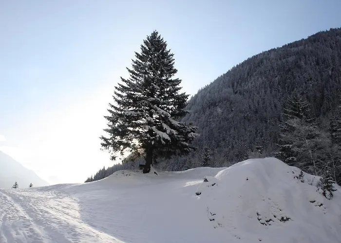 Haus Schoen - Preise Inclusive Pitztal Sommer Card 3*