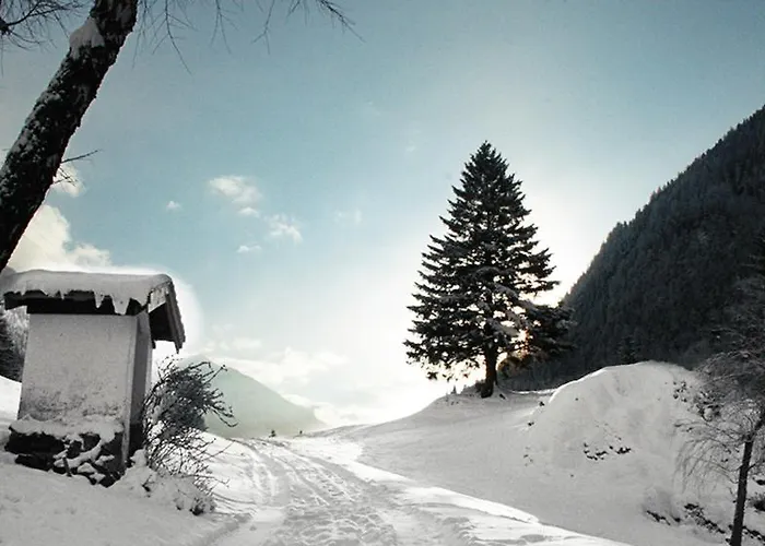 Haus Schoen - Preise Inclusive Pitztal Sommer Card Pensión Jerzens